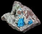 Vibrant Blue Cavansite Clusters on Stilbite - India #67792-2